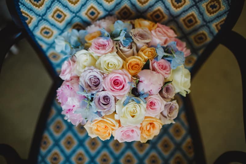 Image by <a class="text-p3" href="http://www.enekastewart.com" target="_blank">Eneka Stewart Photography</a>.