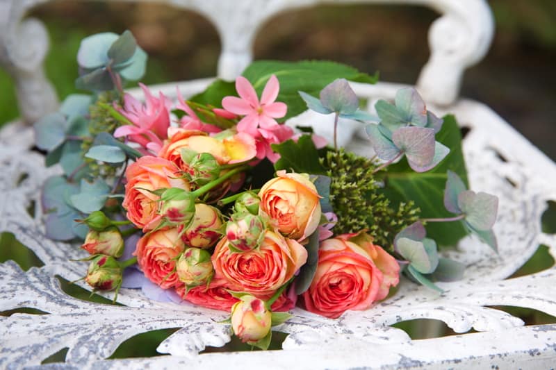 Image by <a class="text-p3" href="http://www.emmajaneleephotography.co.uk" target="_blank">Emma Jane Lee Photography</a>.