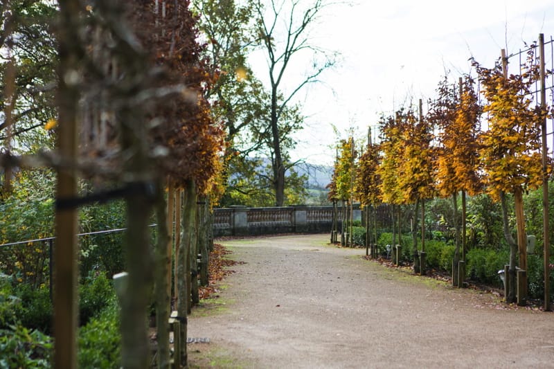 Image by <a class="text-p3" href="http://www.jadeosbornephotography.com" target="_blank">Jade Osborne Photography</a>.