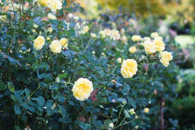 Image by <a class="text-p3" href="http://www.jadeosbornephotography.com" target="_blank">Jade Osborne Photography</a>.