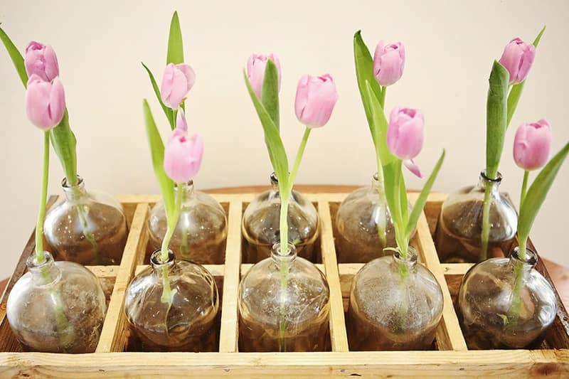 Image by <a class="text-p3" href="http://www.vla-photography.co.uk" target="_blank">VLA Photography</a>.