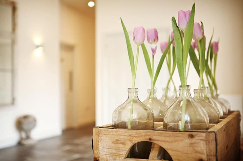 Image by <a class="text-p3" href="http://www.vla-photography.co.uk" target="_blank">VLA Photography</a>.