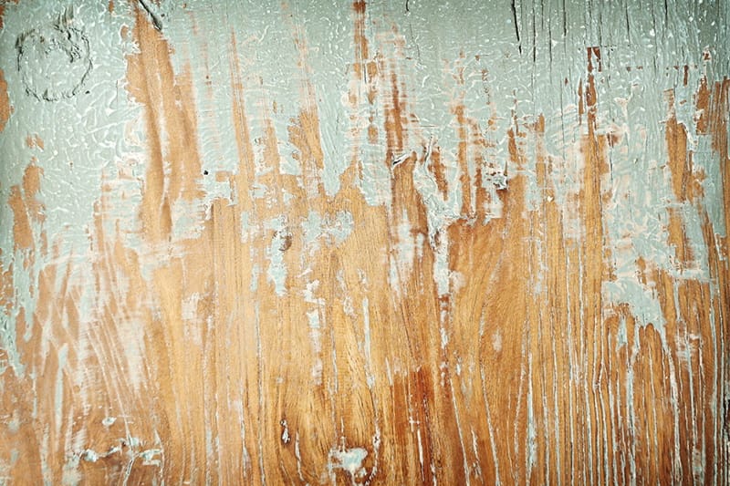 Image by <a class="text-p3" href="http://www.vla-photography.co.uk" target="_blank">VLA Photography</a>.