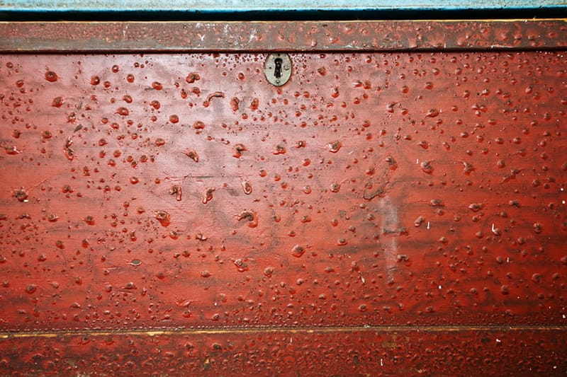 Image by <a class="text-p3" href="http://www.vla-photography.co.uk" target="_blank">VLA Photography</a>.