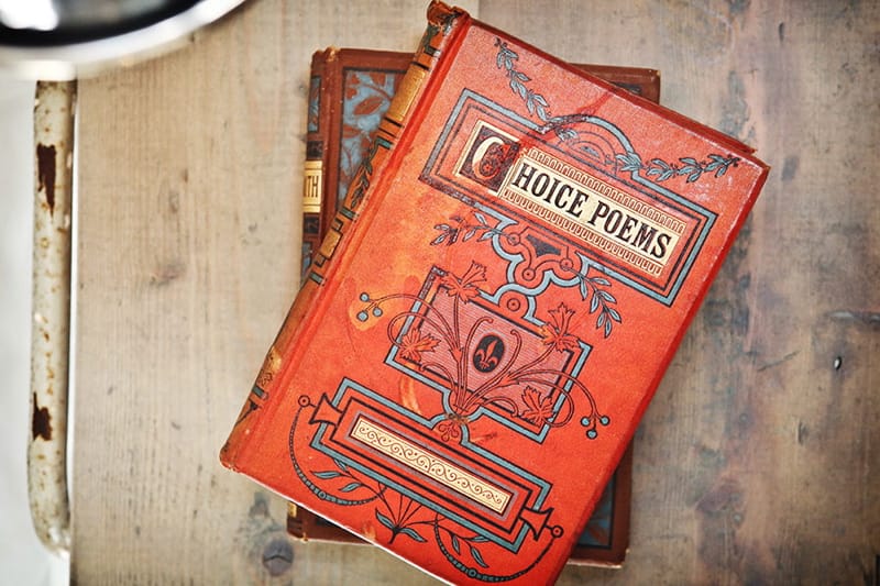 Image by <a class="text-p3" href="http://www.vla-photography.co.uk" target="_blank">VLA Photography</a>.