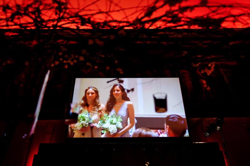 Image by <a class="text-p3" href="http://www.rogerspictures.com" target="_blank">Paul Rogers Photography</a>.