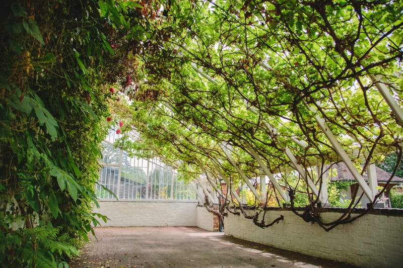 Image by <a class="text-p3" href="http://rachellilly.com" target="_blank">Rachel Lilly Photography</a>.