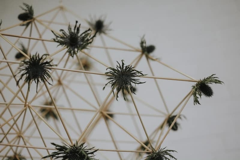 Image by <a class="text-p3" href="http://foxandowl.uk" target="_blank">Fox & Owl</a>.