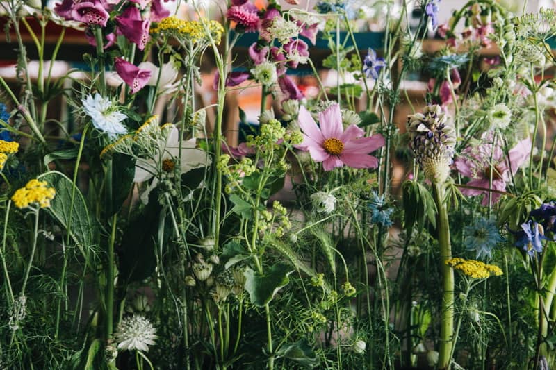 Image by <a class="text-p3" href="http://www.robbinsphotographic.com" target="_blank">Robbins Photographic</a>.