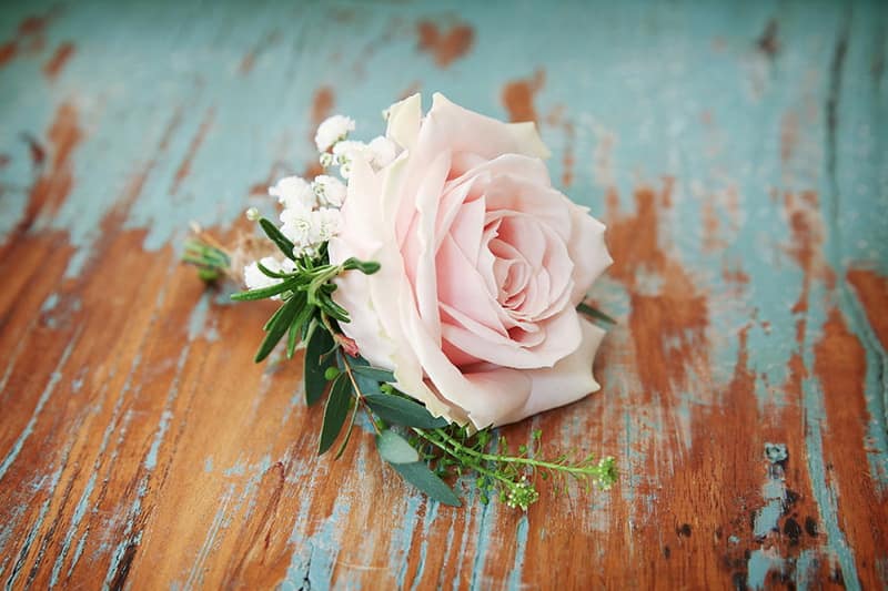 Image by <a class="text-p3" href="http://www.vla-photography.co.uk" target="_blank">VLA Photography</a>.