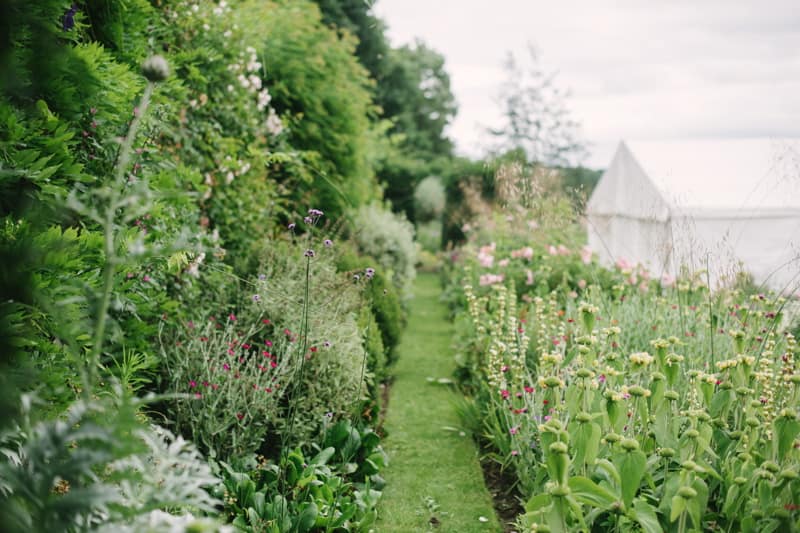 Image by <a class="text-p3" href="http://www.hannahduffy.com" target="_blank">Hannah Duffy Photography</a>.