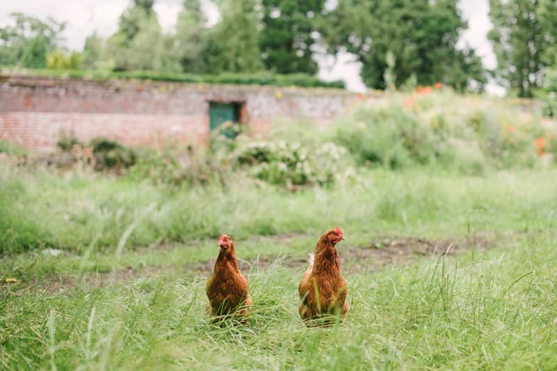 Image by <a class="text-p3" href="http://www.hannahduffy.com" target="_blank">Hannah Duffy Photography</a>.