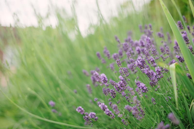 Image by <a class="text-p3" href="http://www.hannahduffy.com" target="_blank">Hannah Duffy Photography</a>.