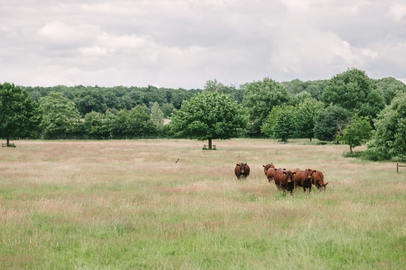 Image by <a class="text-p3" href="http://www.hannahduffy.com" target="_blank">Hannah Duffy Photography</a>.