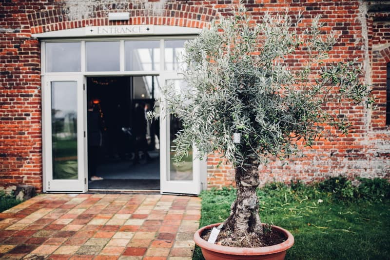 Image by <a class="text-p3" href="http://cargocollective.com/darinastoda" target="_blank">DS Photography</a>.