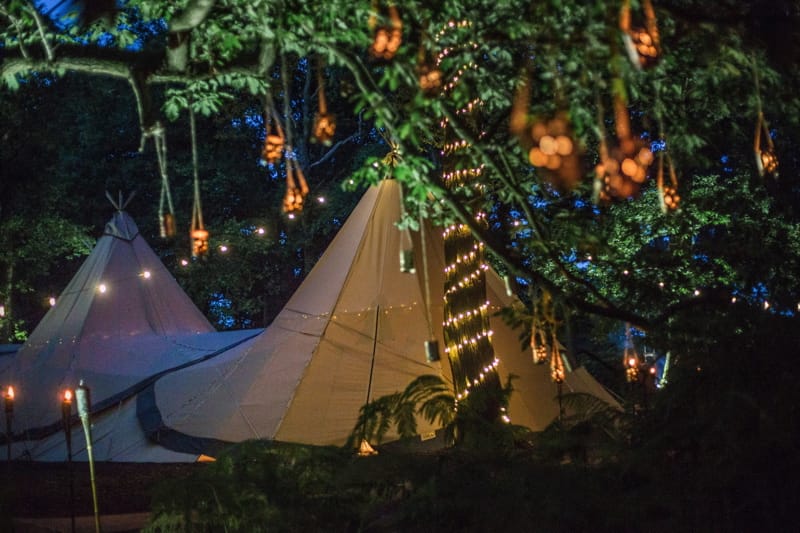 Image by <a class="text-p3" href="http://www.karenmasseyphotography.co.uk" target="_blank">Karen Massey Photography</a>.