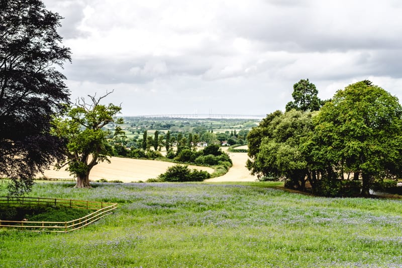 Image by <a class="text-p3" href="http://www.bigeyephotography.co.uk" target="_blank">Big Eye Photography</a>.