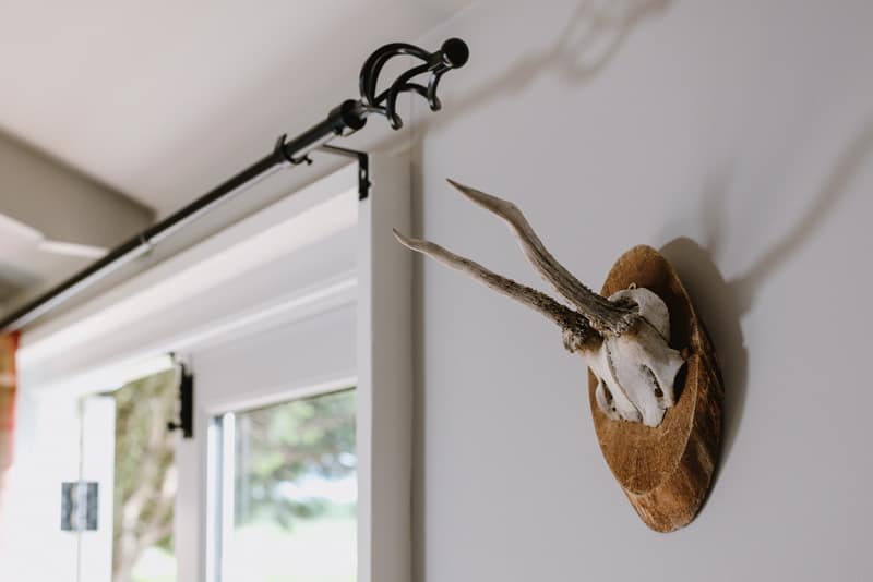 Image by <a class="text-p3" href="http://www.dynamicdogproductions.co.uk" target="_blank">Dynamic Dog Productions</a>.