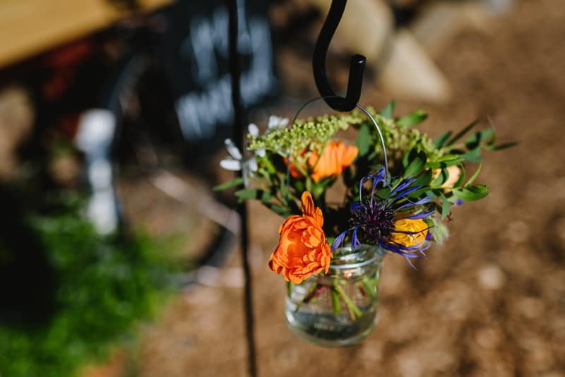 Image by <a class="text-p3" href="http://www.dynamicdogproductions.co.uk" target="_blank">Dynamic Dog Productions</a>.