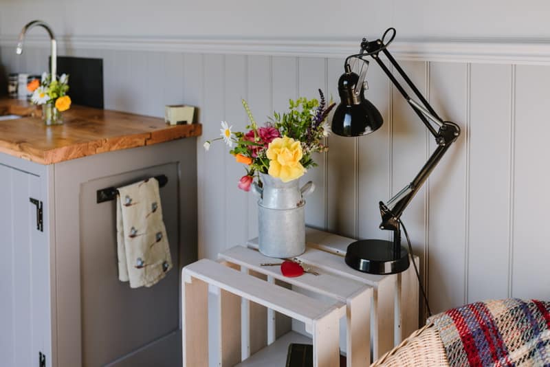 Image by <a class="text-p3" href="http://www.dynamicdogproductions.co.uk" target="_blank">Dynamic Dog Productions</a>.