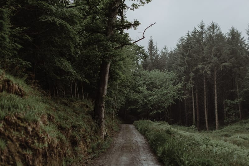 Image by <a class="text-p3" href="http://thekitcheners.co.uk" target="_blank">The Kitcheners</a>.