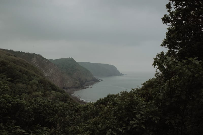 Image by <a class="text-p3" href="http://thekitcheners.co.uk" target="_blank">The Kitcheners</a>.