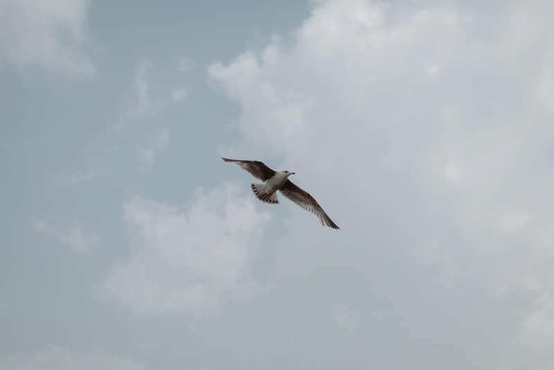 Image by <a class="text-p3" href="http://thekitcheners.co.uk" target="_blank">The Kitcheners</a>.