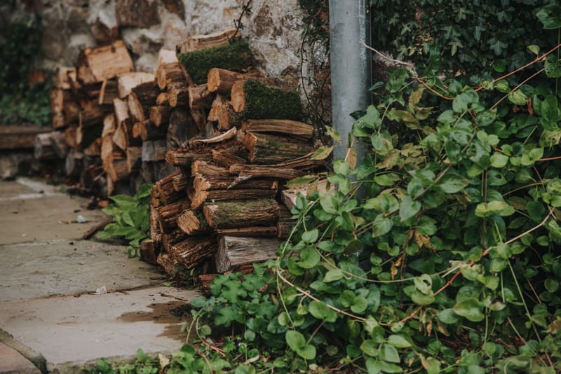 Image by <a class="text-p3" href="http://www.clarekinchinphotography.co.uk" target="_blank">Clare Kinchin Photography</a>.