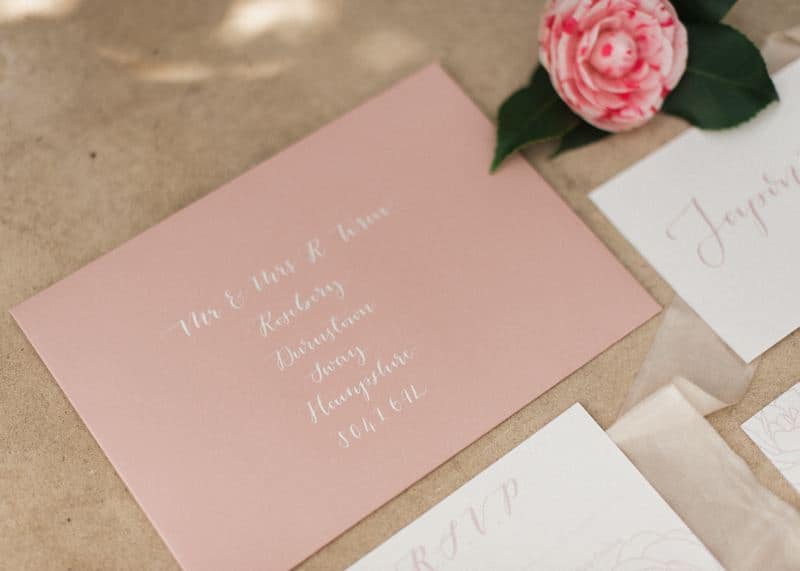 Image by <a class="text-p3" href="http://www.katenielen.com" target="_blank">Kate Nielen Photography</a>.