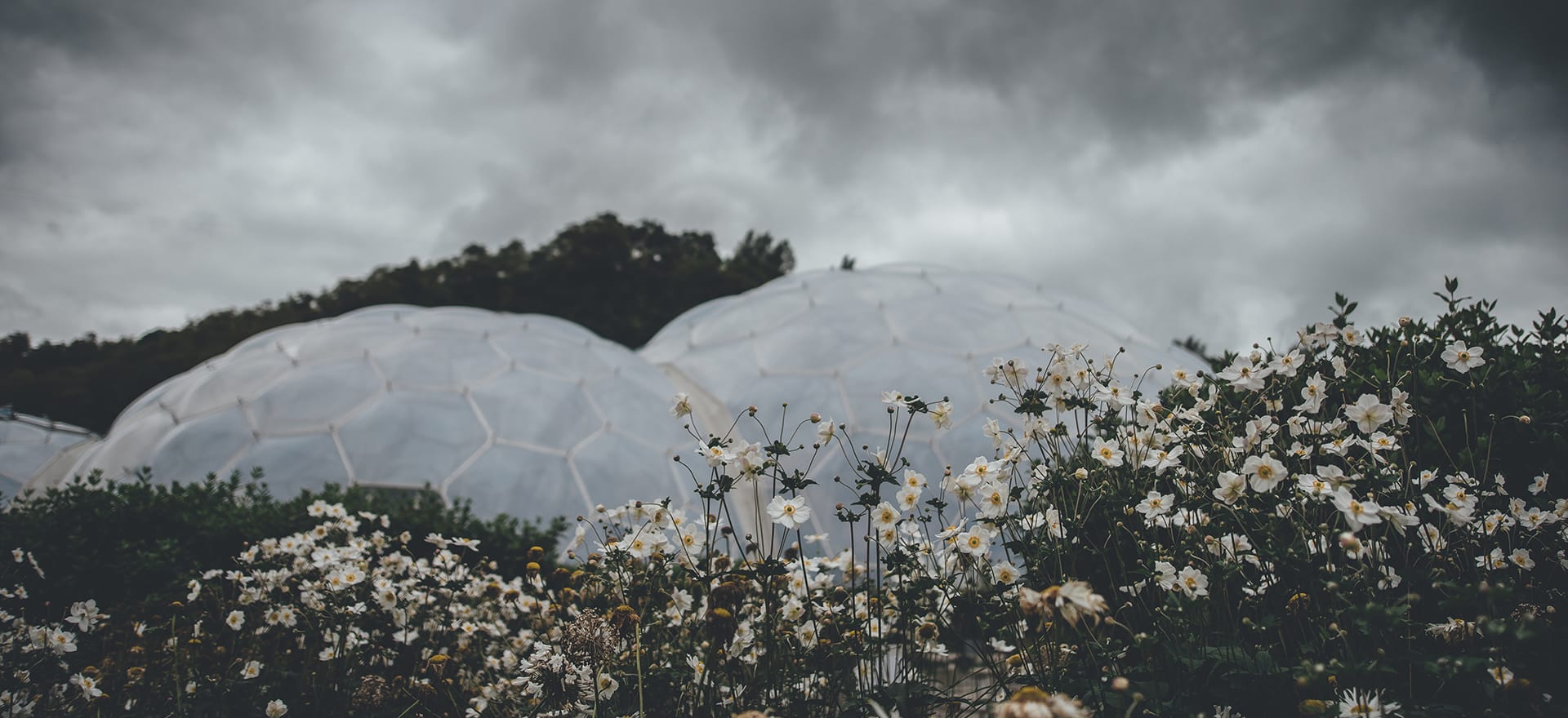 Eden Project