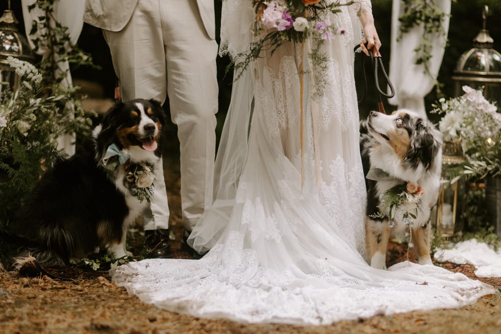 Low Hall The Lakes, The Lake District
