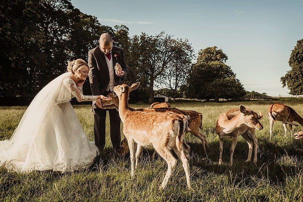 Whitworth Estate & Deer Park