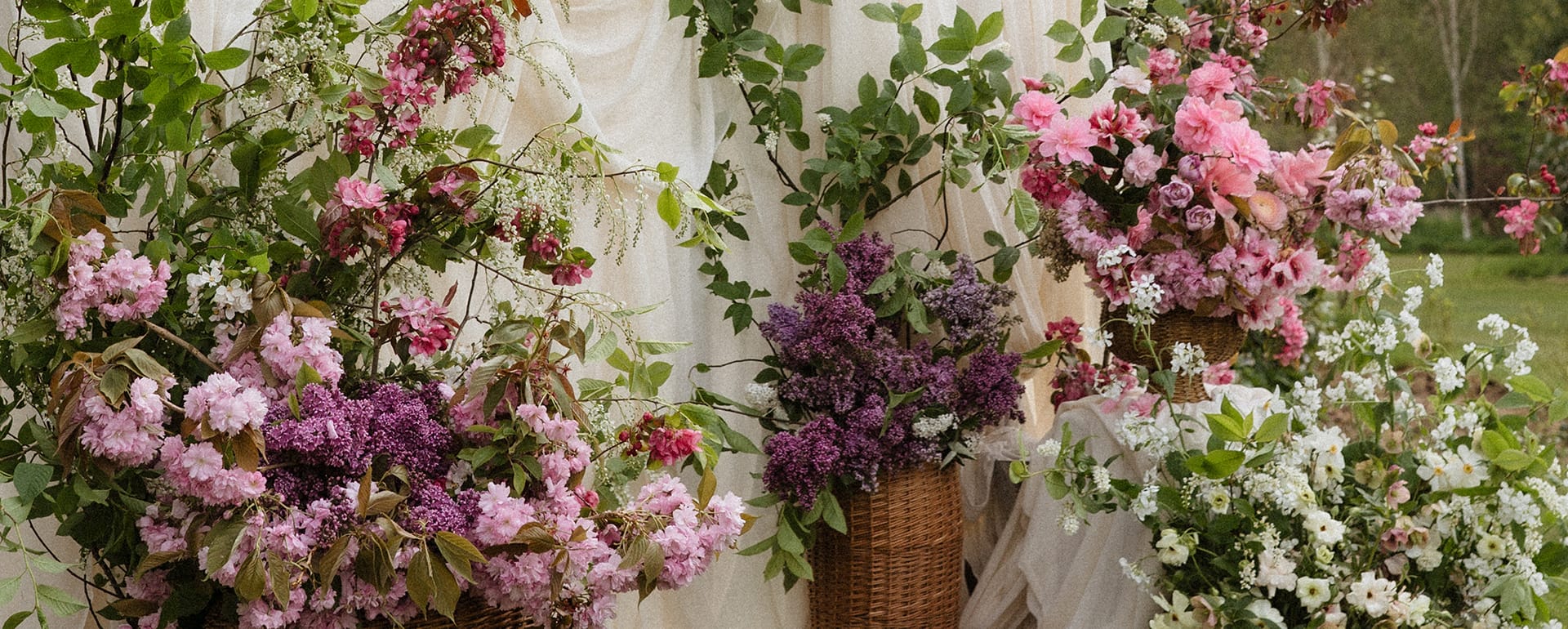 Softly Draped in Springtime