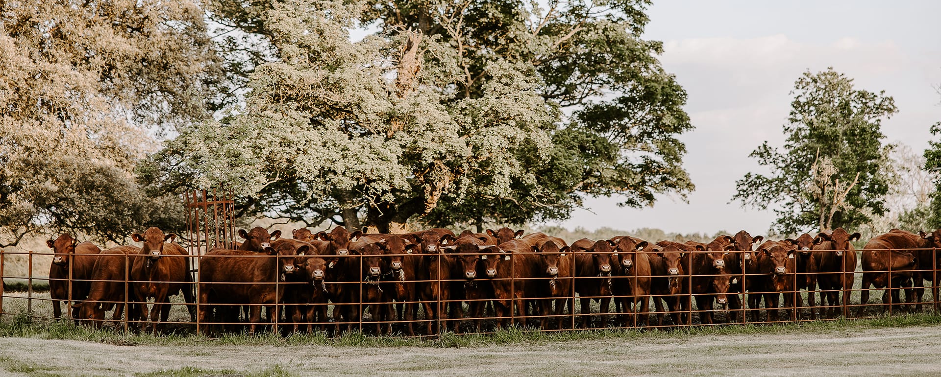 Stylish & Sustainable: The Wasing Park Wedding Showcase