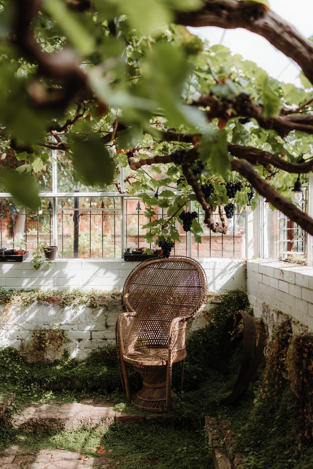 Pippley Walled Garden