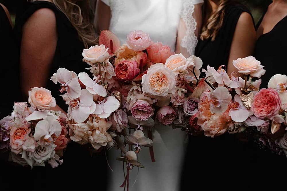 Image by <a class="text-taupe-100" href="https://www.taylorhughesphotography.com" target="_blank">Taylor Hughes Photography</a>.