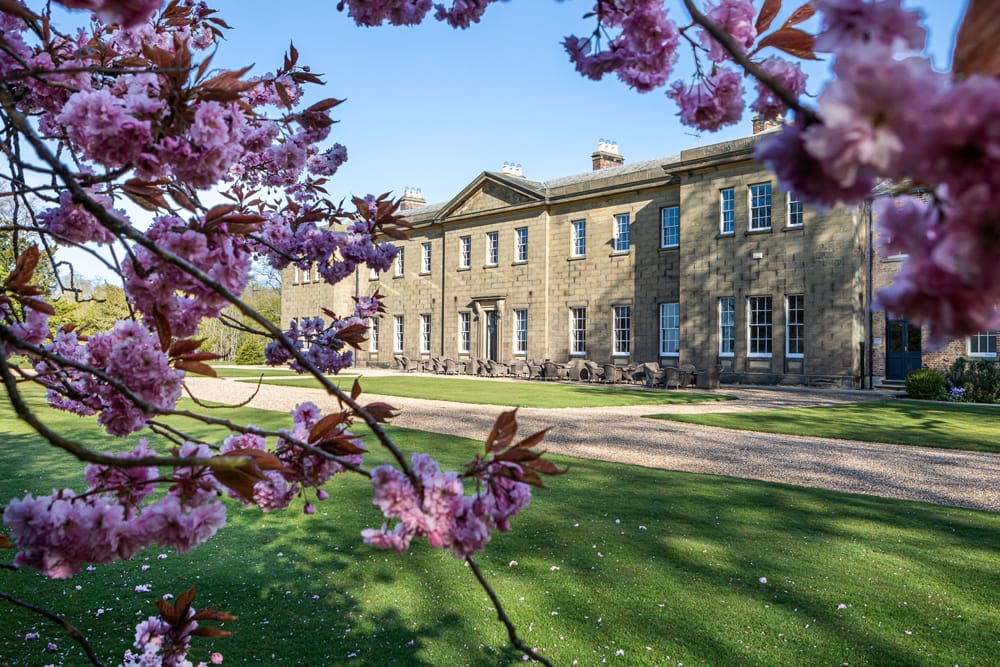 Image courtesy of Rise Hall.