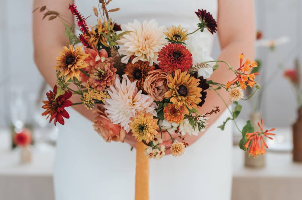 Image by <a class="text-taupe-100" href="https://pearbearphotography.com" target="_blank">Pear & Bear Photography.</a>