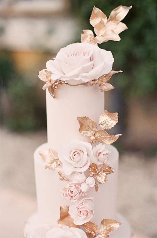 Image by <a class="text-taupe-100" href="http://lizbakerphotography.co.uk" target="_blank">Liz Baker Photography</a>.