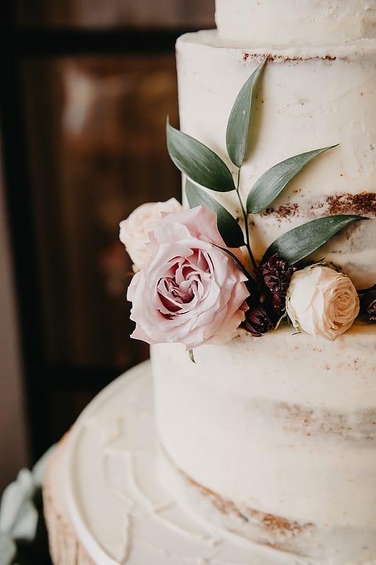 Image by <a class="text-taupe-100" href="https://jessicagracephotography.co.uk" target="_blank">Jessica Grace Photography</a>.