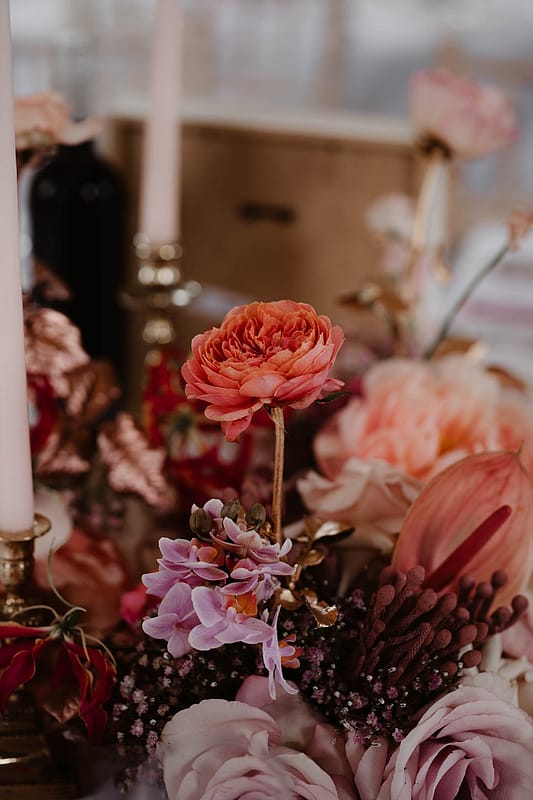 Image by <a class="text-taupe-100" href="https://www.taylorhughesphotography.com" target="_blank">Taylor Hughes Photography</a>.