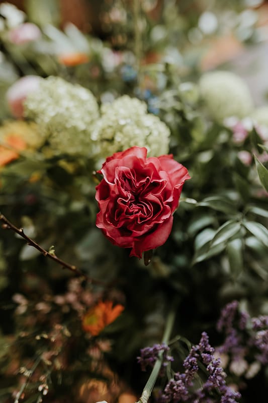 Image by <a class="text-taupe-100" href="https://www.gabrielasphotographyandfilm.com" target="_blank">Gabriela's Photography and Film</a>.
