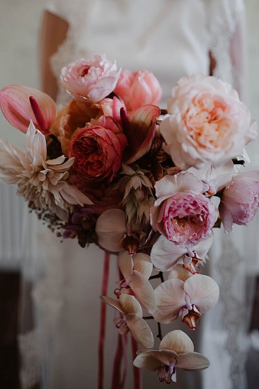 Image by <a class="text-taupe-100" href="https://www.taylorhughesphotography.com" target="_blank">Taylor Hughes Photography</a>.