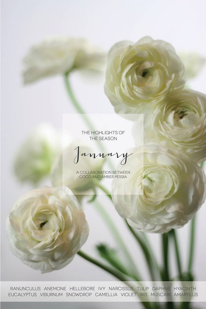 Coco Wedding Venues - January Floral Highlights.