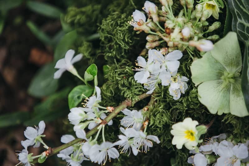 rustic-wedding-inspiration-rustic-romance-coco-editorial-a-new-beginning-rebecca-goddard-photography-22