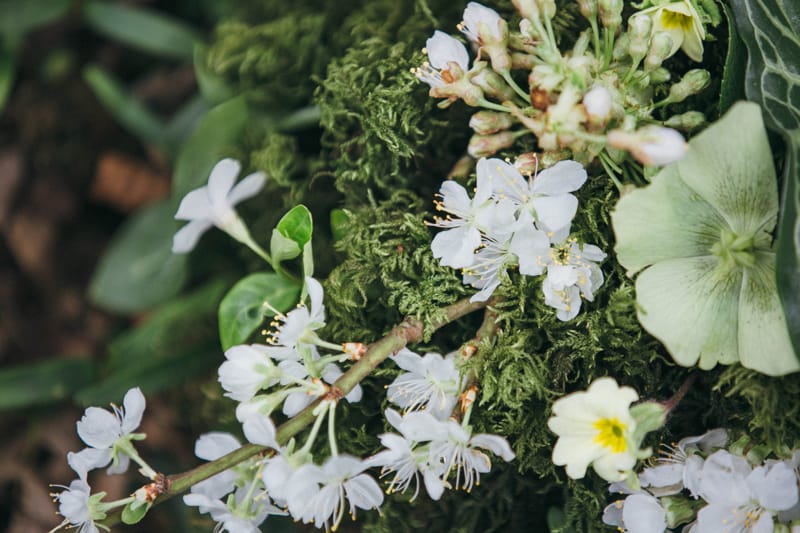 spring-wedding-offer-narborough-hall-gardens-norfolk-3