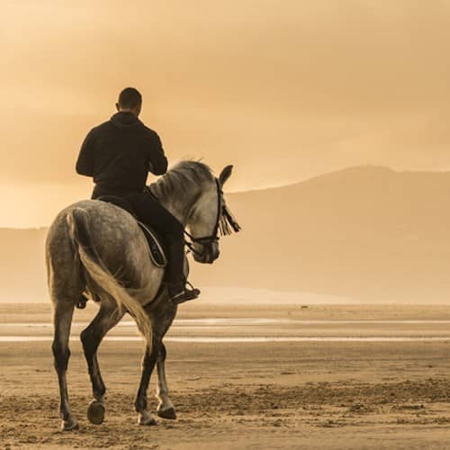 Luxury Villa Retreat And Sunset Beach Horse Riding For Two In Andalusia Truly Experiences £900