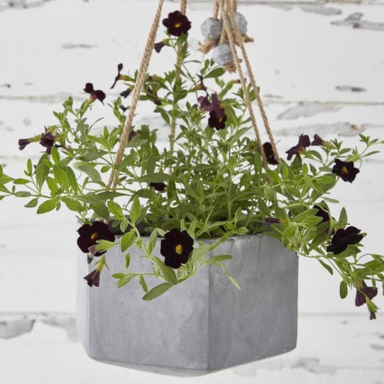Nordic House Outdoor Concrete Hanging Planter - £39.95.