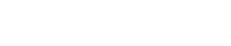 The Wedding Shop Logo