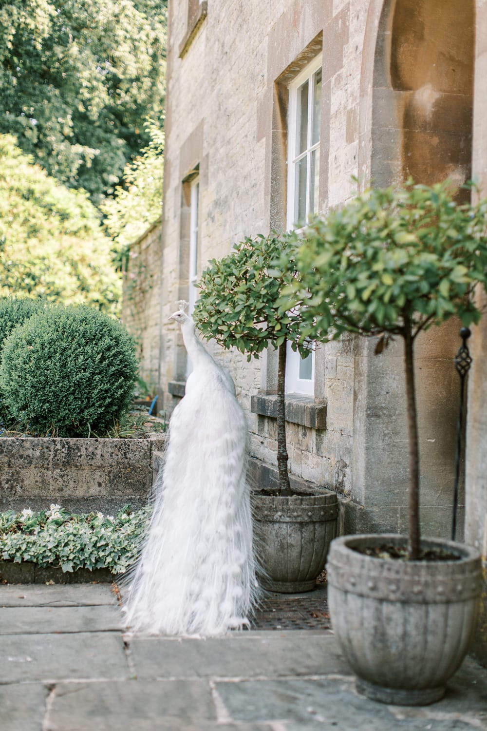 Wedding Inspiration at Parish s House in Bath